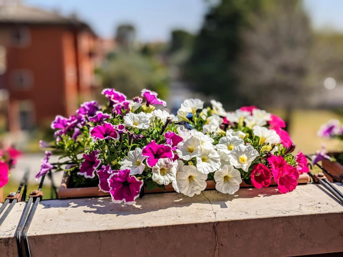 B&B The Way Home Desenzano del Garda Esterno foto